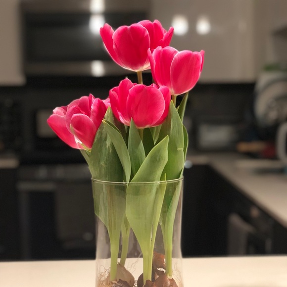 Meet your Posher, Chin - Picture 1 of 1